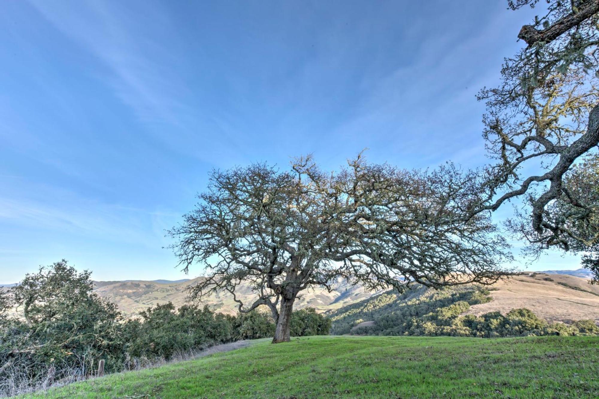 Lx37 Weathertop Ranch In Carmel Wine Country 카멜 밸리 외부 사진