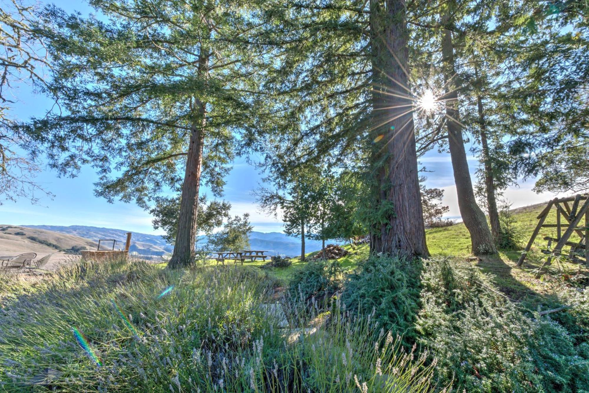 Lx37 Weathertop Ranch In Carmel Wine Country 카멜 밸리 외부 사진